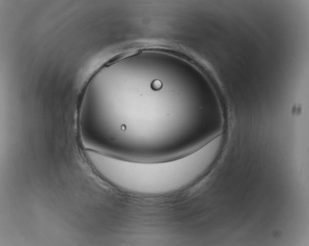 X0000114001365200910021306