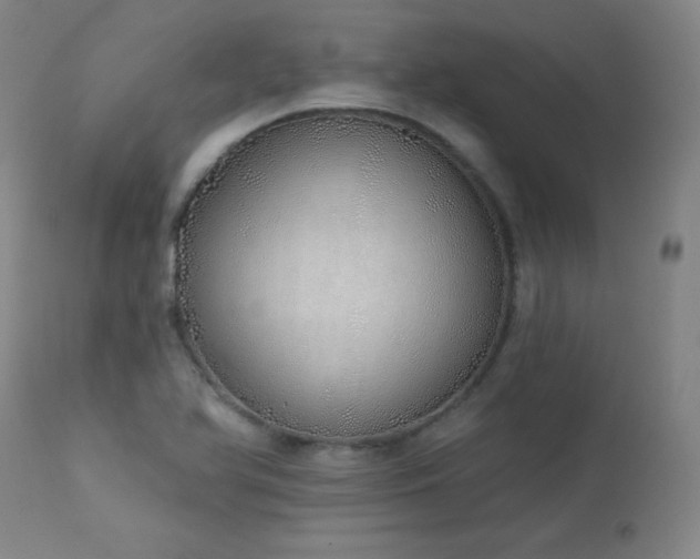 X0000114001366200910021306