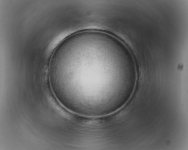 X0000114001367200910021306
