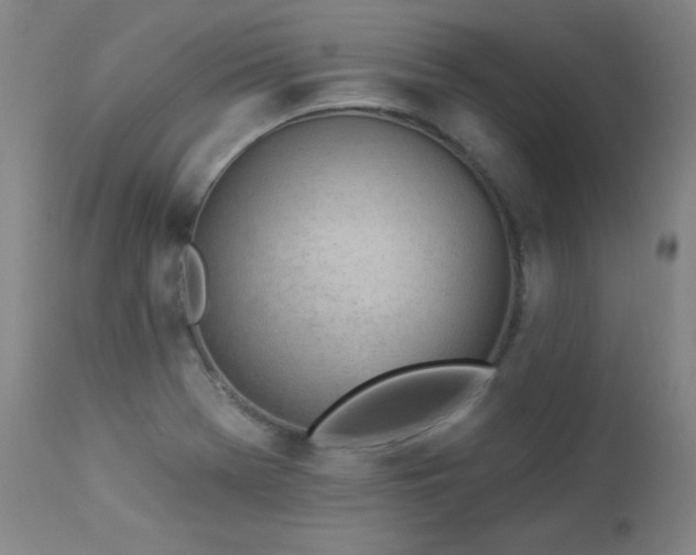 X0000114001369200910021306