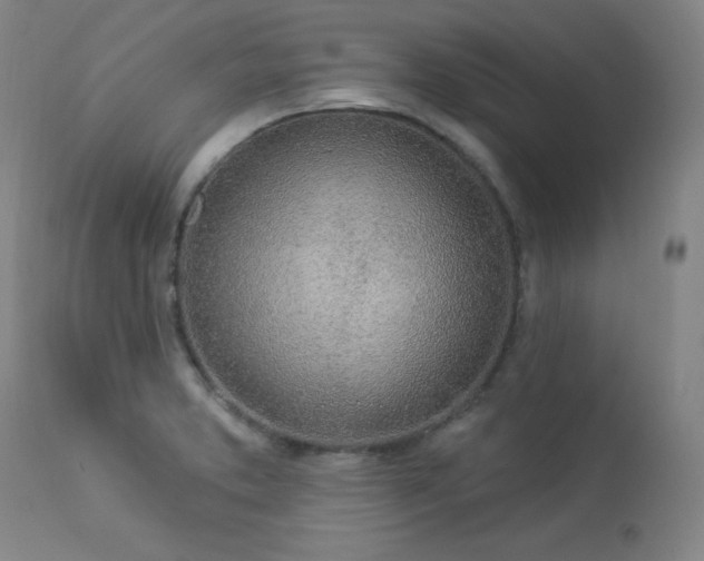 X0000114001373200910021306