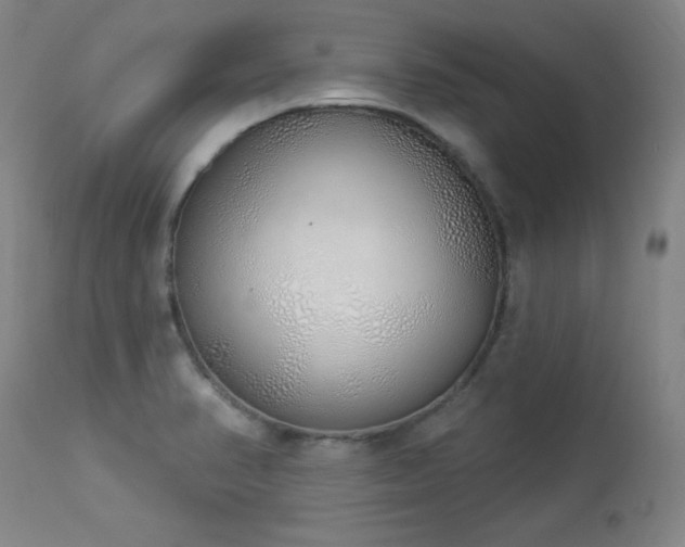 X0000114001374200910021306