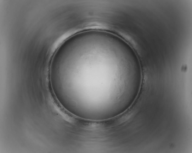 X0000114001375200910021306