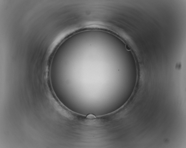 X0000114001376200910021306