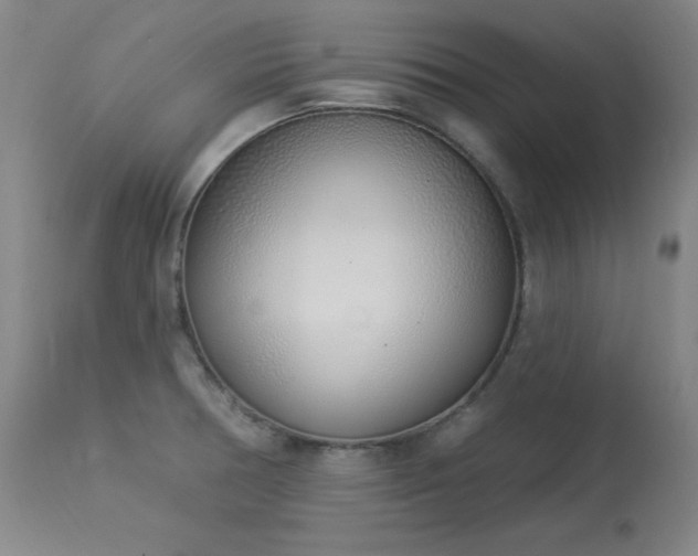 X0000114001378200910021306