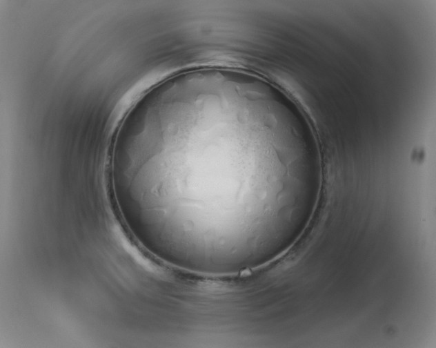 X0000114001379200910021306