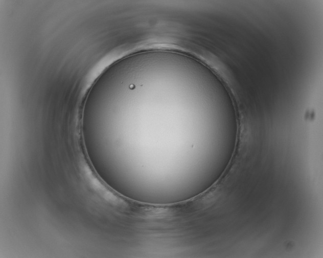 X0000114001382200910021306