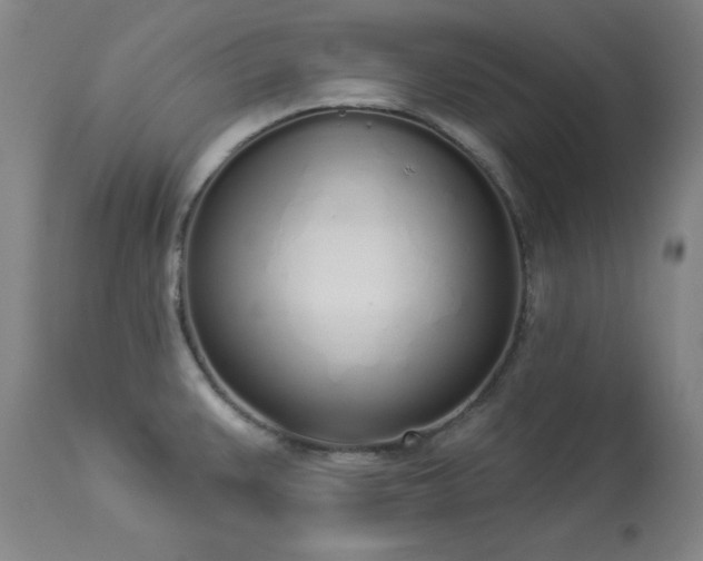 X0000114001383200910021306