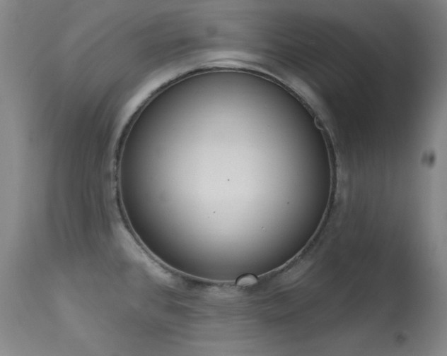 X0000114001384200910021306