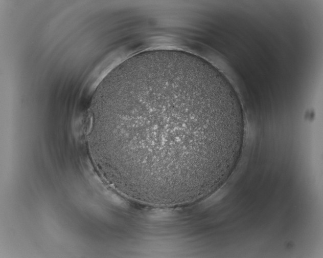 X0000114001385200910021306