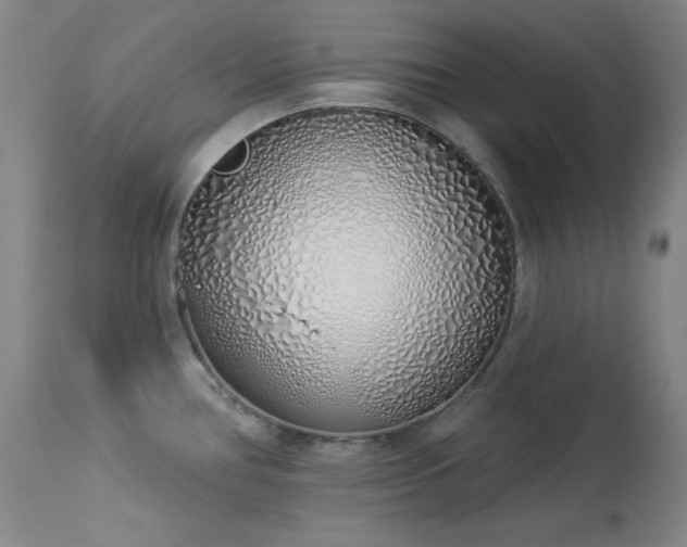 X0000114001386200910021306