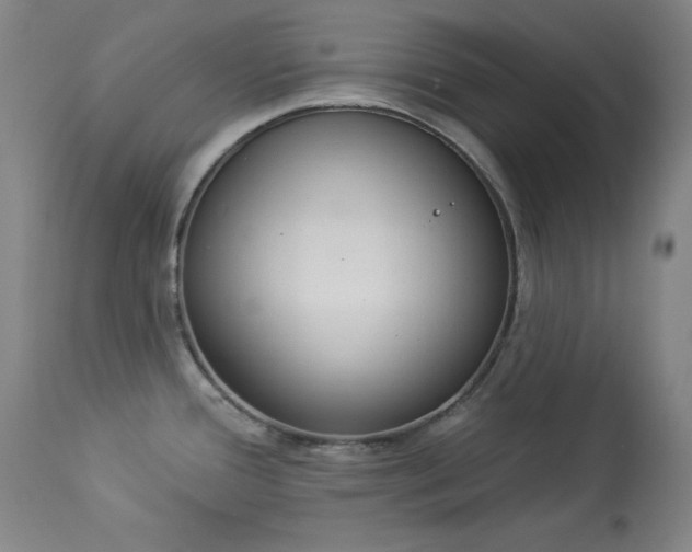 X0000114001388200910021306