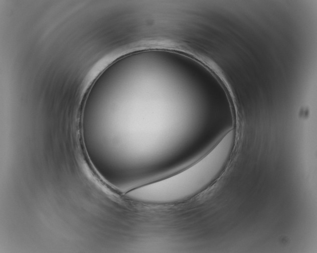 X0000114001389200910021306