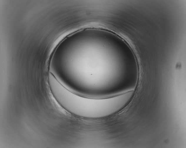 X0000114001392200910021306