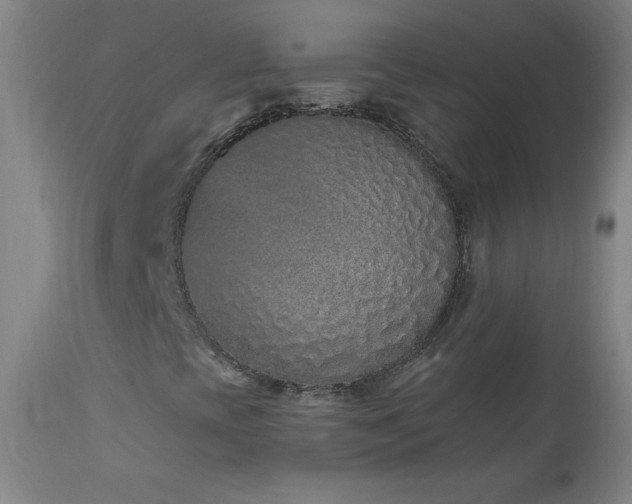 X0000114001393200910021305