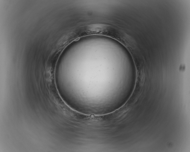 X0000114001394200910021305