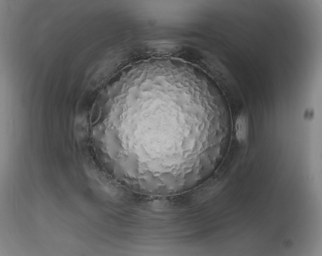 X0000114001395200910021305