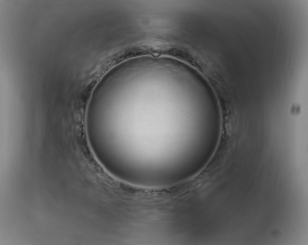 X0000114001397200910021305