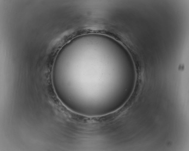X0000114001398200910021305