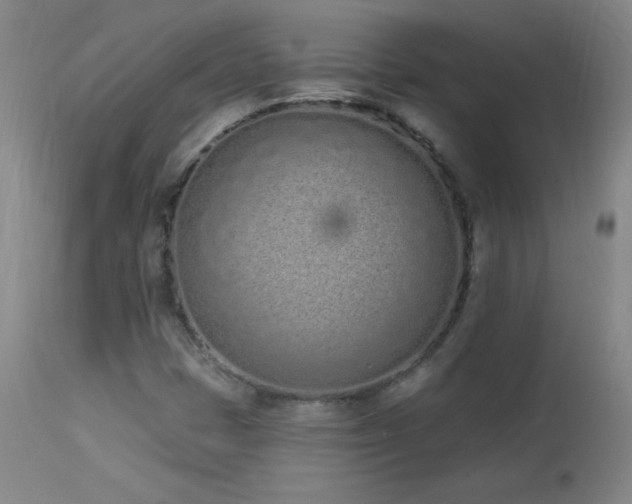X0000114001401200910021305