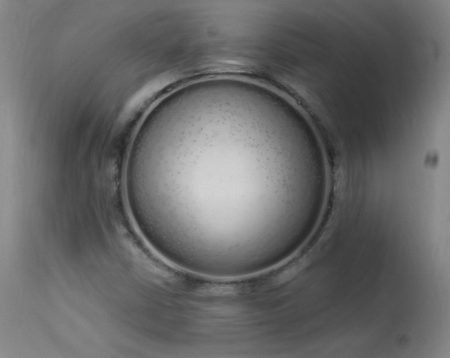 X0000114001402200910021305