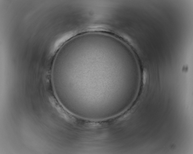 X0000114001405200910021305