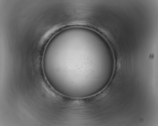 X0000114001406200910021305
