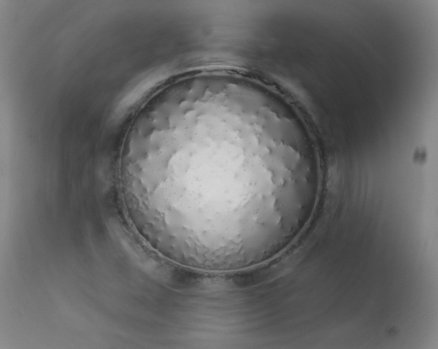 X0000114001407200910021305