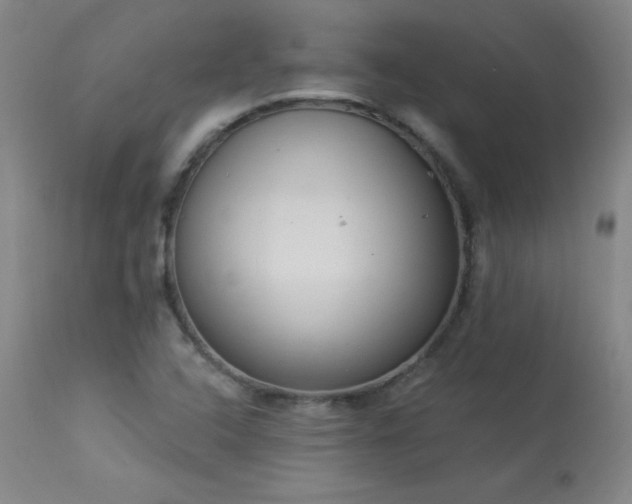 X0000114001408200910021306