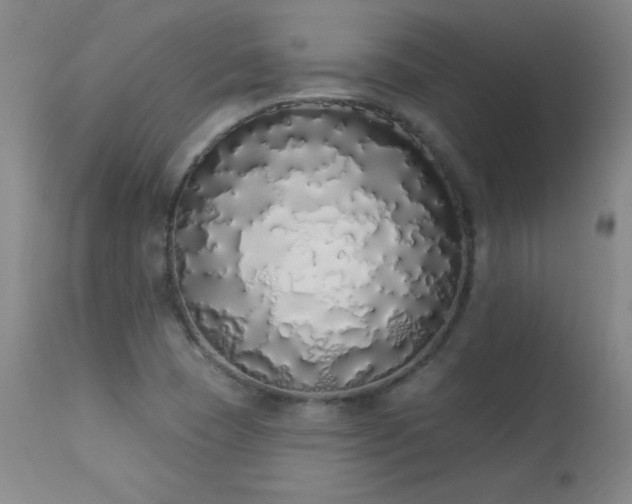 X0000114001409200910021306
