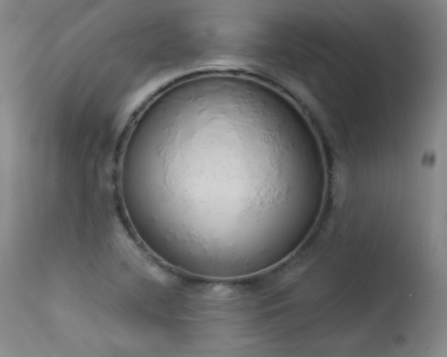 X0000114001412200910021306