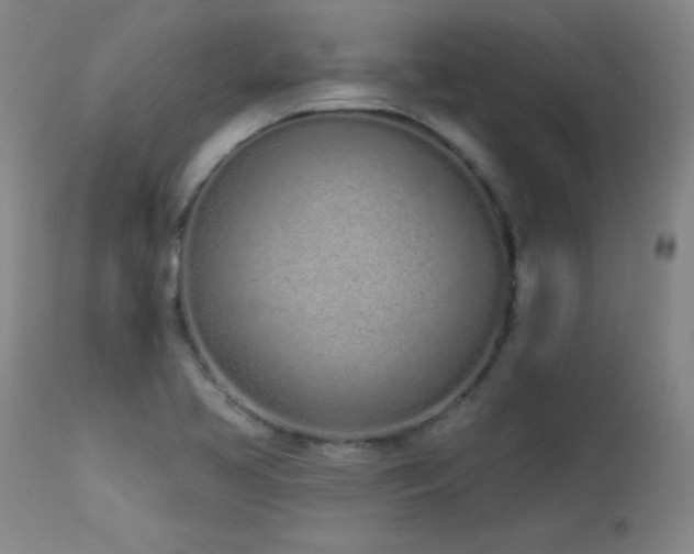 X0000114001413200910021306
