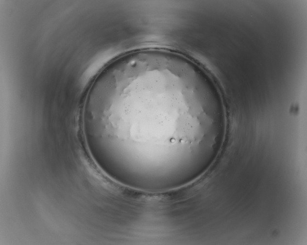 X0000114001415200910021306