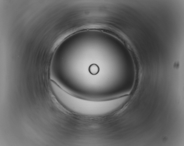 X0000114001417200910021306