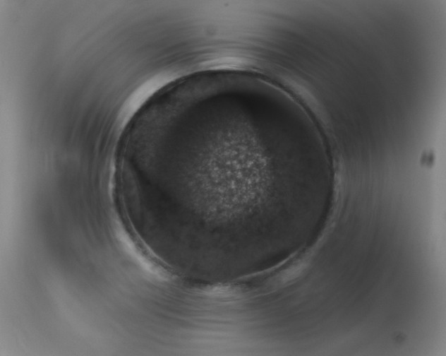 X0000114001418200910021306