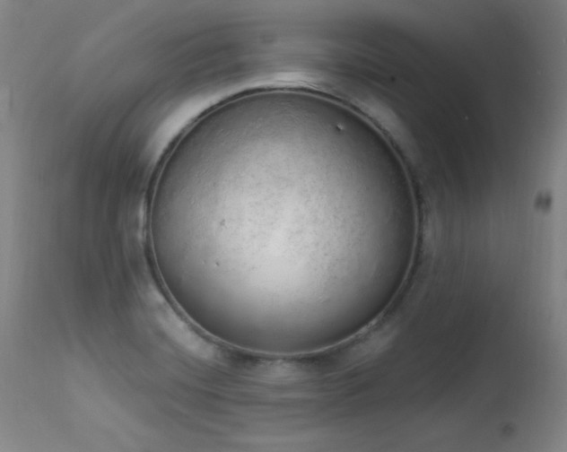 X0000114001420200910021306