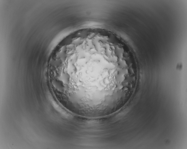 X0000114001421200910021306