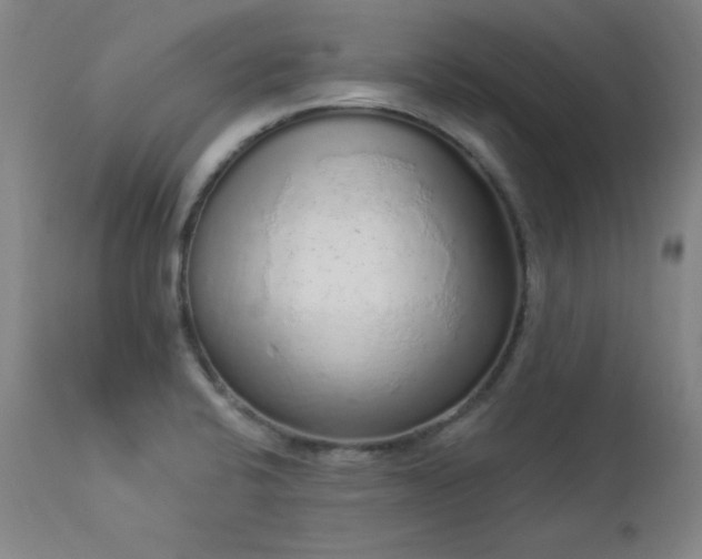 X0000114001424200910021306