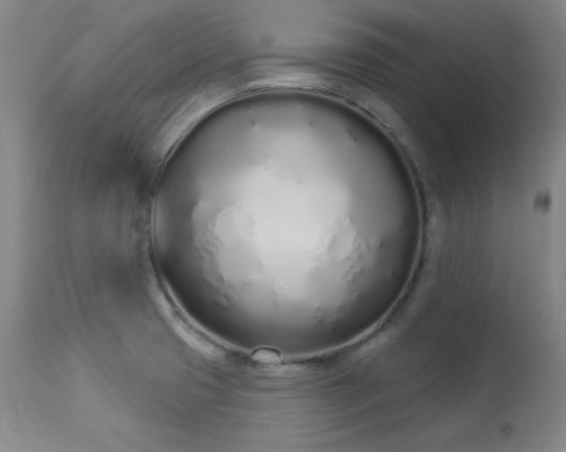X0000114001425200910021306