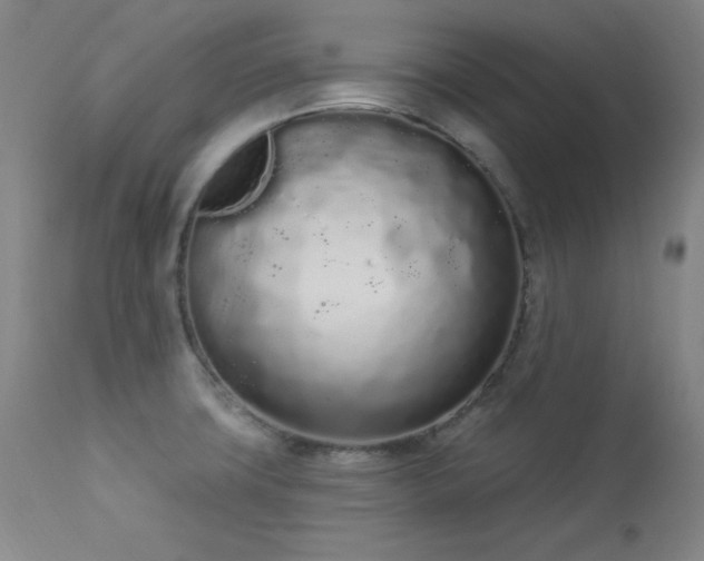 X0000114001427200910021306