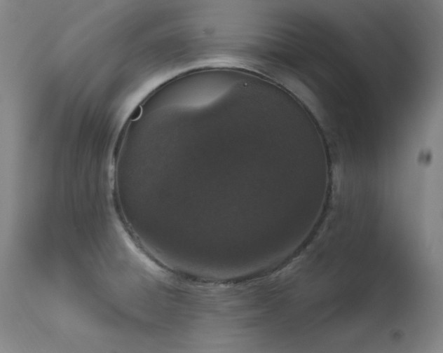 X0000114001428200910021306