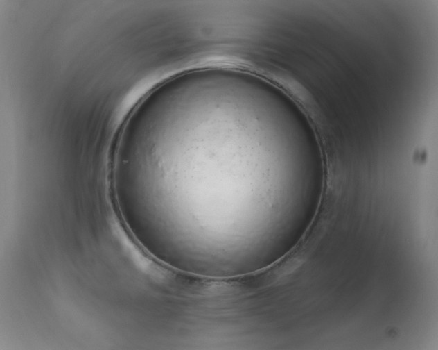 X0000114001430200910021306