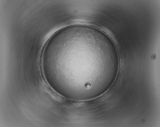 X0000114001435200910021306