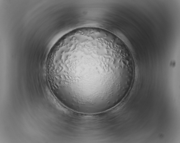 X0000114001436200910021306