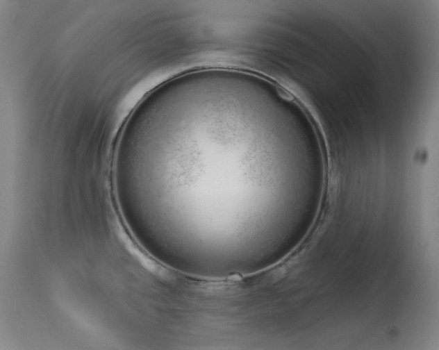 X0000114001437200910021306