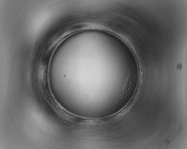 X0000114001438200910021306