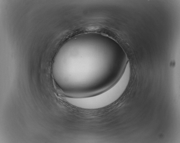 X0000114001441200910021305