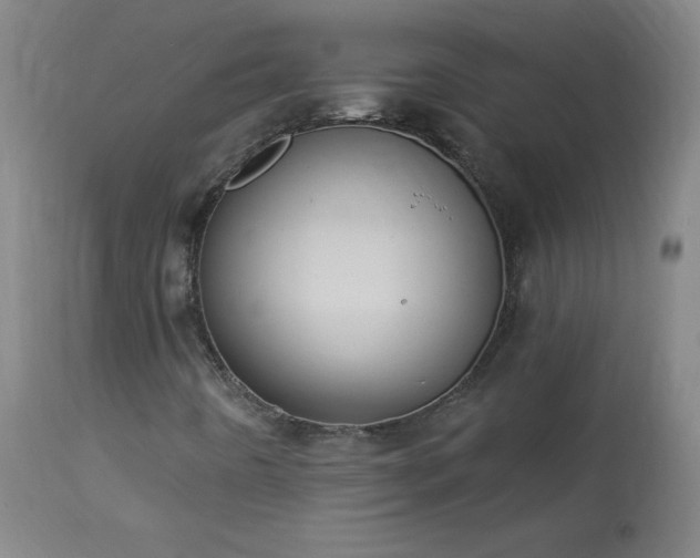 X0000114001442200910021305