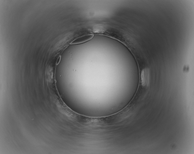 X0000114001443200910021305