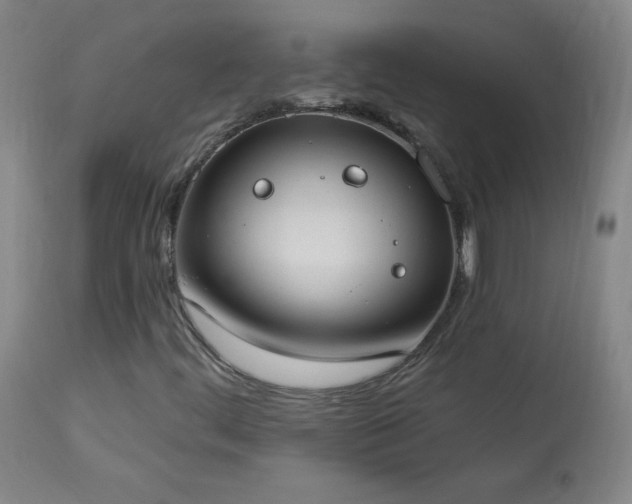 X0000114001444200910021305